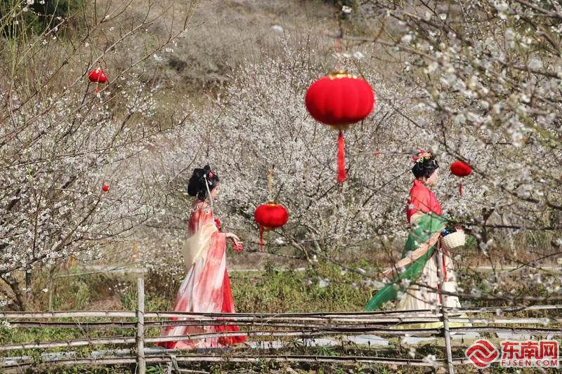 以“梅”为媒共赴花宴 永泰推出八条精品赏梅旅游路线