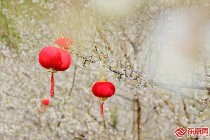 以“梅”为媒共赴花宴 永泰推出八条精品赏梅旅游路线