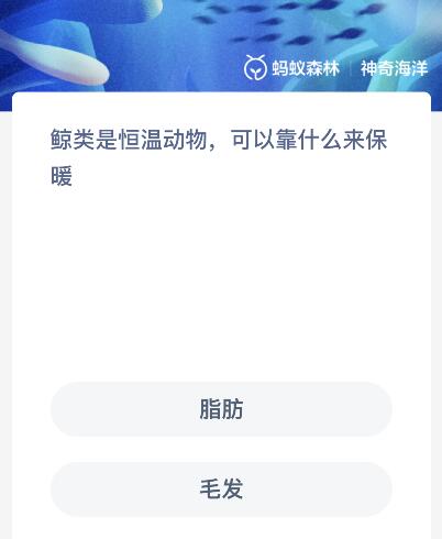 神奇海洋今日答案最新：鲸类是恒温动物可以靠什么来保暖？