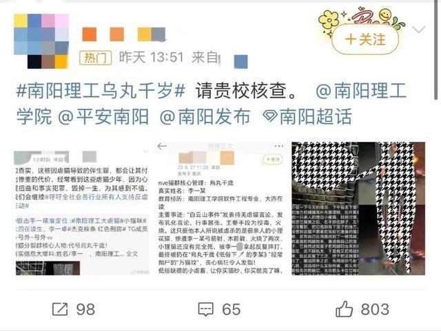 学生发布虐猫视频，南阳理工学院通报：责令检讨，将严肃处理