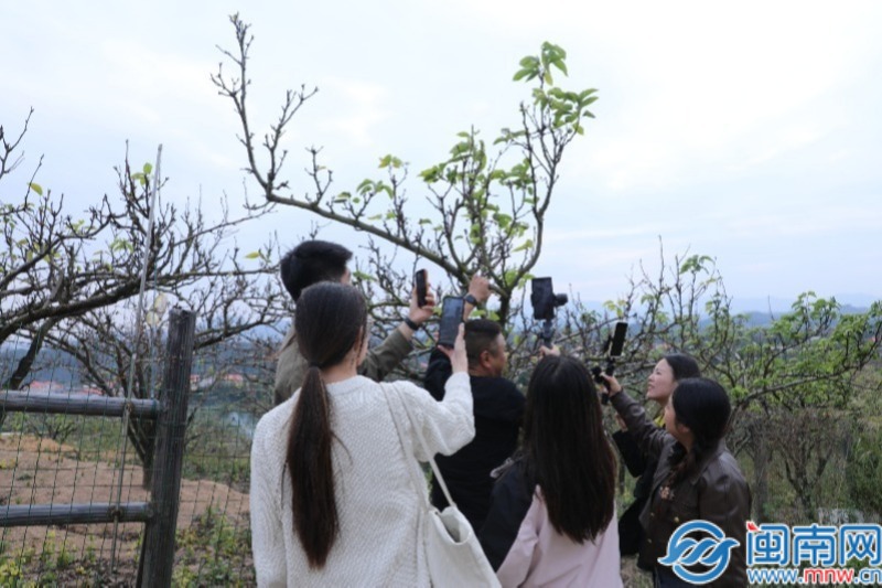 一村一落皆美景 主播团探访厦漳龙乡村振兴花样密码