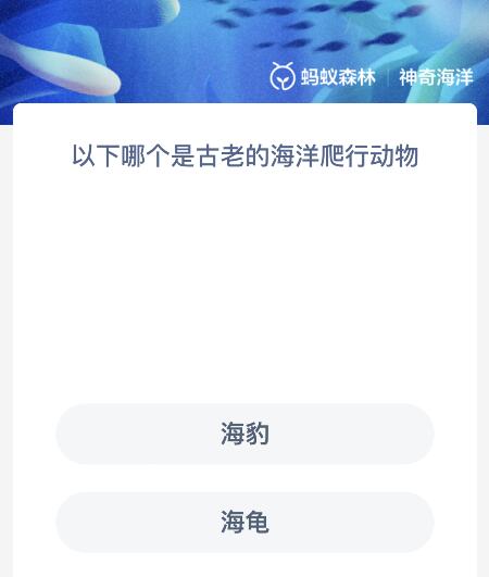 以下哪个是古老的海洋爬行动物？神奇海洋11.19今日答案最新