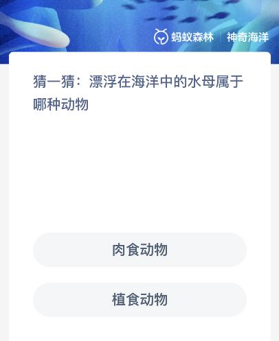 漂浮在海洋中的水母属于哪种动物？神奇海洋11.28今日答案最新