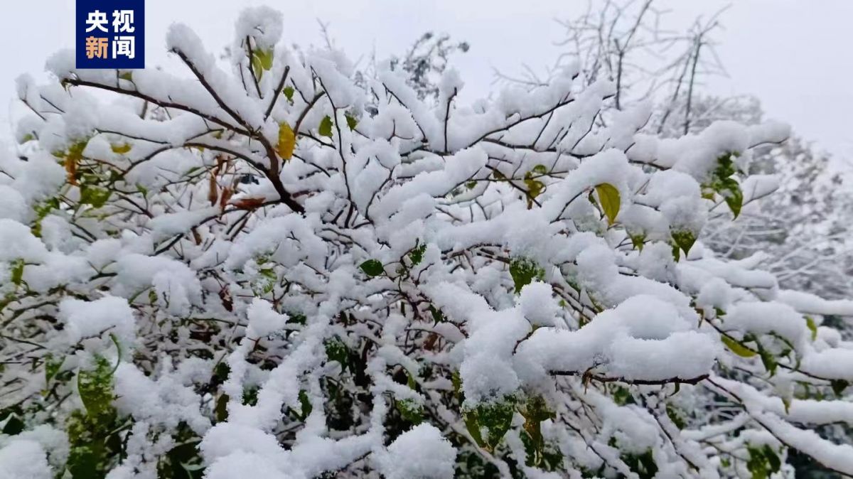 贵州多地出现降雪 8个区县积雪深度超过10厘米