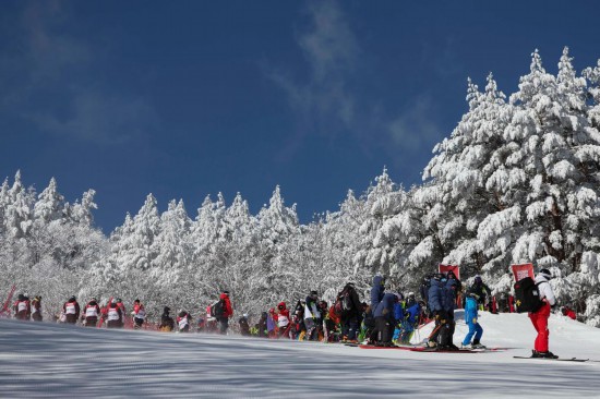 冬青奥会 | 如何“攻关”高山滑雪？资深教练这样说